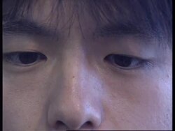 JAPAN: TOKYO: SCIENTISTS DEVELOPING CYBER BUGS News Clip