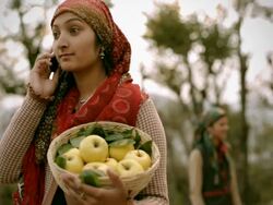 People of Himachal Pradesh: Woman on phone holding apple basket Stock Footage