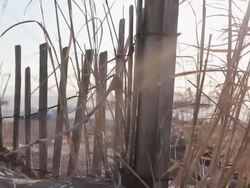 Tracking detail shot of a beach sand fence and tall grass. - Model Released - 1920x1080 - HD Stock Footage