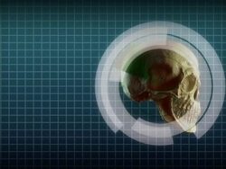 Realistic Skull with graphs Stock Footage