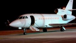 Italian journalist and Belgian national kidnapped in Syria in April land in Italy Instructional Video