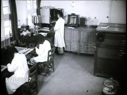 MOT 1948: REPUBLIC OF CHINA: Angled WS Bureau of Animal Husbandry laboratory, FAO (United Nations Food & Agriculture Organization) helping w/ vaccine, VS Male scientist injecting chicken eggs, placing in incubator, checking eggs Instructional Video