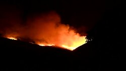 CLEAN : Wildfires flare up in southern Albania News Clip