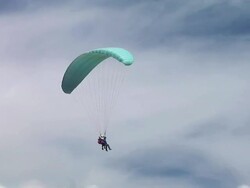 HD: Parachutists In The Sky Stock Footage