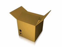 Delivery 01 Earth Stock Footage