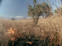WA burning grassland, Tanzania Stock Footage