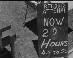 SNAKES ALIVE News Clip