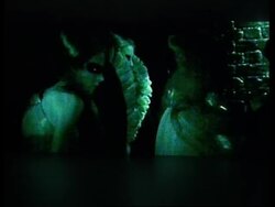 Exotic looks from Alexander McQueen News Clip