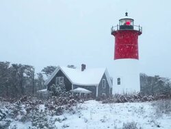 Winter on Cape Cod Stock Footage