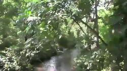 CLEAN : Colombian activist group demands release of Dutch journalists News Clip