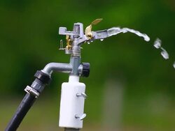 CU SLO MO Shot of irrigation sprinkler at organic farm / Chatham, Michigan, United States Stock Footage