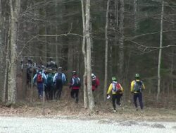 HD: Running In The Woods Stock Footage