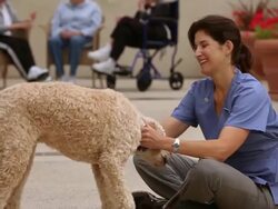 "MS Care giver playing with dog / Laguna Woods, CA, United States" Stock Footage