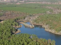 WS AERIAL View of Magnolia Springs State Park / Georgia, United States Stock Footage