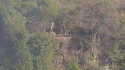 Water tumbling over Victoria Falls News Clip