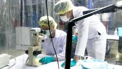 Clean Lab Stock Footage