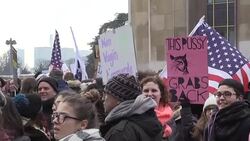 CLEAN : Parisian protesters join global anti Trump march News Clip