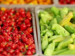 MS R/F Typical Brazilian spices, flavorings and condiments / Sao Paulo, Brazil Stock Footage