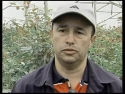 A look at second largest flower industry in world Instructional Video