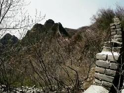 the Great Wall of China Stock Footage