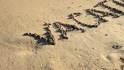 VACATION written in sand Stock Footage