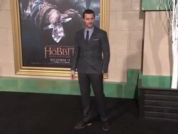 Richard Armitage at 'The Hobbit: The Battle of the Five Armies' Los Angeles Premiere Stock Footage