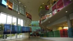 Robotics technology to help those with partial spinal cord injuries learn to walk News Clip