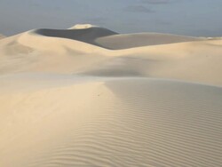 Wind Swept Dunes Stock Footage