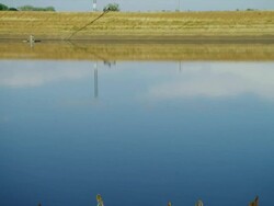 Containment pond of Manure and waste run off from high density feed lot Stock Footage