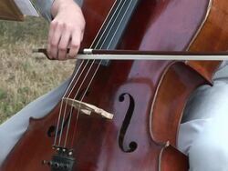 HD: Playing Contra Bass Stock Footage