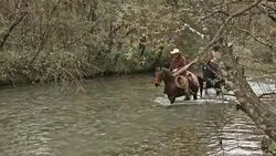 Two men and a woman riding horses in the river Stock Footage