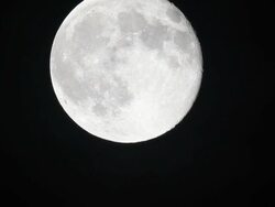 Large Full Moon Moving Up with Crater Detail Stock Footage