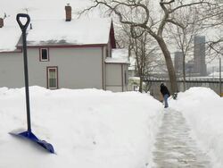 WS PAN Woman in jeans shoveling snow from walkway / Saint Paul, Minnesota, United States  Stock Footage