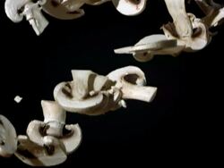 HD Super Slow-Mo: Mushrooms Falling Over Black Background Stock Footage