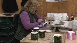 Adding transfers to pottery in factory News Clip