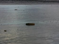 High Tide at beach, water coming in from ocean (HD) Stock Footage