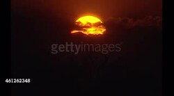 Cheetahs on a cheetah reserve in Namibia News Clip