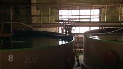 Water ripples across tanks at a fish farm. Stock Footage