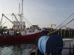 sunrise over fishing boats in a harbor on Cape Cod Stock Footage