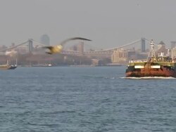 WS POV Barges on harbor / New York, United States Stock Footage