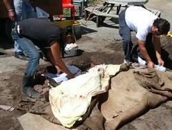 New Zealanders Use Traditional Hangi To Cook Food Stock Footage