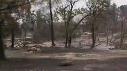 California wildfire leaves swathe of devastation in Keswick News Clip