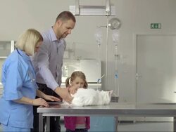 Friendly Vet Shaking Hands With A Customer Stock Footage