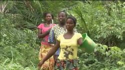 VICTIMS OF WAR DEMAND TOUGH SENTENCE FOR FORMER LIBERIAN PRESIDENT News Clip