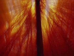 on cross HD Stock Footage