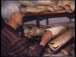 ZIMBABWE: HARARE: IVORY AUCTION News Clip