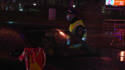 Romania imposes a curfew in anti virus measure News Clip