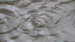 Rain Dropping in the Rainy season Stock Footage