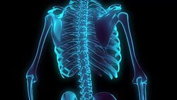 HD : 360 degree X-ray Chest Skeleton. Stock Footage