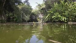 Portugal Aï¿½ores Sï¿½o Miguel lake Stock Footage